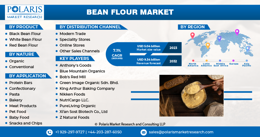 Bean Flour Market Size